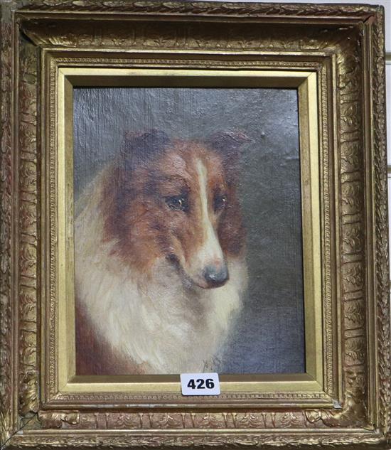 V. Brownlowe, oil on canvas board, portrait of a collie, signed, 24 x 19cm